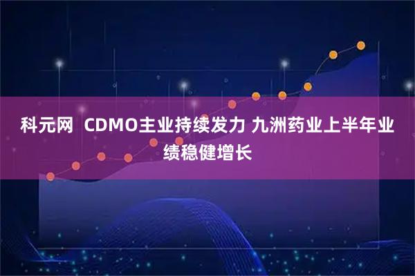 科元网  CDMO主业持续发力 九洲药业上半年业绩稳健增长