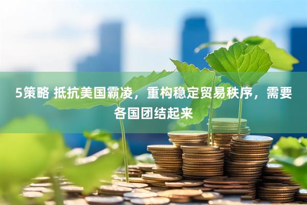 5策略 抵抗美国霸凌，重构稳定贸易秩序，需要各国团结起来