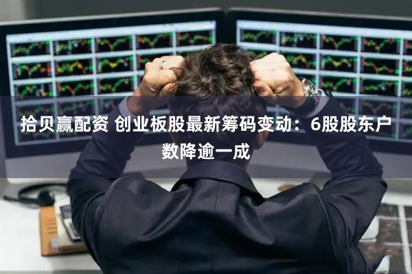 拾贝赢配资 创业板股最新筹码变动：6股股东户数降逾一成