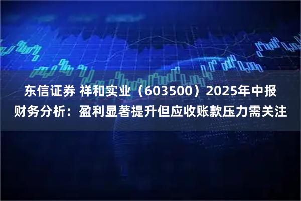 东信证券 祥和实业（603500）2025年中报财务分析：盈利显著提升但应收账款压力需关注